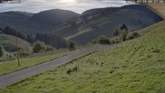 Archiviertes Webcam Bild: Münstertal-Wieden: Skilift Heidstein am 25.09.2026 um 08:11 Uhr