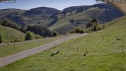 Archiviertes Webcam Bild: Münstertal-Wieden: Skilift Heidstein am 25.09.2026 um 10:11 Uhr