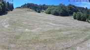 Archived webcam image showing Münstertal-Wieden: Wiedenereck Ski lift on 12 Jul 2026 at 14:57