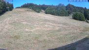 Archived webcam image showing Münstertal-Wieden: Wiedenereck Ski lift on 30 Jul 2026 at 08:05