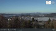 Archived webcam image showing Neuschönau - National Park Center Hans-Eisemann-Haus on 13 Mar 2026 at 08:44