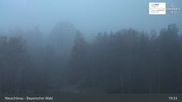 Archived webcam image showing Neuschönau - National Park Center Hans-Eisemann-Haus on 5 Apr 2026 at 05:21