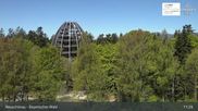 Archiviertes Webcam Bild: Neuschönau - Nationalparkzentrum Hans-Eisemann- Haus am 30.04.2026 um 11:02 Uhr