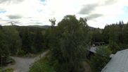 Archived webcam image showing Tree Top Walk Bavarian Forest in Neuschönau on 14 Jun 2026 at 10:58