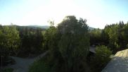 Archived webcam image showing Tree Top Walk Bavarian Forest in Neuschönau on 25 Jun 2026 at 06:29