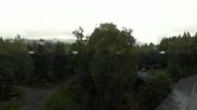 Archived webcam image showing Tree Top Walk Bavarian Forest in Neuschönau on 6 Jul 2026 at 10:20