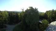 Archived webcam image showing Tree Top Walk Bavarian Forest in Neuschönau on 12 Jul 2026 at 06:34