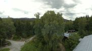 Archived webcam image showing Tree Top Walk Bavarian Forest in Neuschönau on 12 Jul 2026 at 16:34