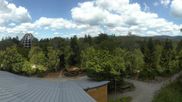 Archived webcam image showing Tree Top Walk Bavarian Forest in Neuschönau on 8 Aug 2026 at 12:23
