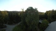 Archived webcam image showing Tree Top Walk Bavarian Forest in Neuschönau on 13 Aug 2026 at 06:23