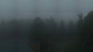 Archived webcam image showing Tree Top Walk Bavarian Forest in Neuschönau on 19 Aug 2026 at 06:27