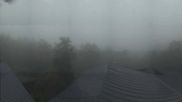 Archived webcam image showing Tree Top Walk Bavarian Forest in Neuschönau on 19 Aug 2026 at 07:27