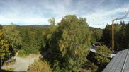 Archived webcam image showing Tree Top Walk Bavarian Forest in Neuschönau on 27 Sep 2026 at 14:03