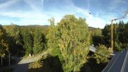 Archived webcam image showing Tree Top Walk Bavarian Forest in Neuschönau on 27 Sep 2026 at 16:03