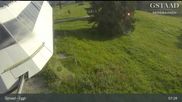 Archived webcam image showing Gstaad - Mountain Restaurant Eggli on 16 Jun 2026 at 07:01