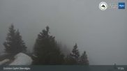 Archiviertes Webcam Bild: Grünten - Blick vom Gipfel am 12.04.2026 um 17:09 Uhr
