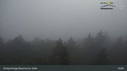 Archived webcam image showing Lookout tower Brotjacklriegel on 1 Jul 2026 at 19:10