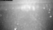 Archived webcam image showing Willingen - Ski Jumping Area Start on 13 Jun 2026 at 02:45