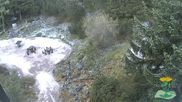 Archived webcam image showing Oberhof - View Botanic Garden on 1 May 2026 at 08:41