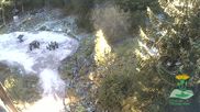 Archived webcam image showing Oberhof - View Botanic Garden on 1 May 2026 at 10:41