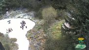Archived webcam image showing Oberhof - View Botanic Garden on 1 May 2026 at 12:41