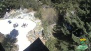 Archived webcam image showing Oberhof - View Botanic Garden on 1 May 2026 at 16:41