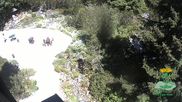 Archiviertes Webcam Bild: Oberhof: Rennsteiggarten am 28.05.2026 um 14:31 Uhr