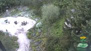 Archived webcam image showing Oberhof - View Botanic Garden on 29 May 2026 at 07:51