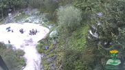 Archived webcam image showing Oberhof - View Botanic Garden on 29 May 2026 at 08:51