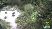 Archived webcam image showing Oberhof - View Botanic Garden on 29 May 2026 at 12:51