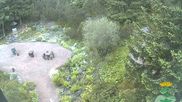 Archived webcam image showing Oberhof - View Botanic Garden on 10 Jun 2026 at 06:10