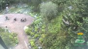 Archived webcam image showing Oberhof - View Botanic Garden on 10 Jun 2026 at 07:10
