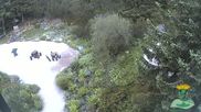 Archived webcam image showing Oberhof - View Botanic Garden on 28 Jun 2026 at 06:48