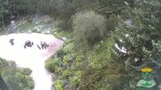 Archived webcam image showing Oberhof - View Botanic Garden on 28 Jun 2026 at 07:48