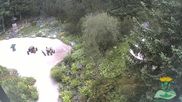 Archived webcam image showing Oberhof - View Botanic Garden on 28 Jun 2026 at 08:48