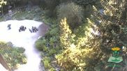 Archived webcam image showing Oberhof - View Botanic Garden on 28 Jun 2026 at 10:48