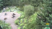 Archiviertes Webcam Bild: Oberhof: Rennsteiggarten am 12.07.2026 um 12:13 Uhr