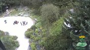 Archiviertes Webcam Bild: Oberhof: Rennsteiggarten am 12.07.2026 um 14:13 Uhr