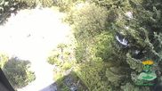 Archiviertes Webcam Bild: Oberhof: Rennsteiggarten am 12.07.2026 um 16:13 Uhr