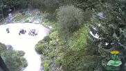 Archiviertes Webcam Bild: Oberhof: Rennsteiggarten am 14.07.2026 um 07:45 Uhr