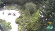 Archived webcam image showing Oberhof - View Botanic Garden on 14 Jul 2026 at 10:29