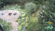 Archiviertes Webcam Bild: Oberhof: Rennsteiggarten am 26.08.2026 um 14:00 Uhr