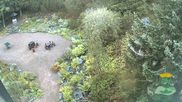 Archived webcam image showing Oberhof - View Botanic Garden on 27 Aug 2026 at 07:39