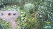 Archived webcam image showing Oberhof - View Botanic Garden on 27 Aug 2026 at 08:39