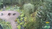 Archived webcam image showing Oberhof - View Botanic Garden on 27 Aug 2026 at 10:39