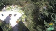 Archived webcam image showing Oberhof - View Botanic Garden on 27 Aug 2026 at 16:39