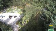 Archived webcam image showing Oberhof - View Botanic Garden on 27 Aug 2026 at 18:39