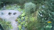 Archived webcam image showing Oberhof - View Botanic Garden on 28 Aug 2026 at 07:48