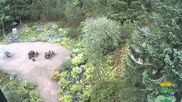 Archived webcam image showing Oberhof - View Botanic Garden on 28 Aug 2026 at 08:48