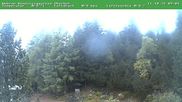 Archiviertes Webcam Bild: Oberhof: Rennsteiggarten am 11.10.2026 um 10:00 Uhr